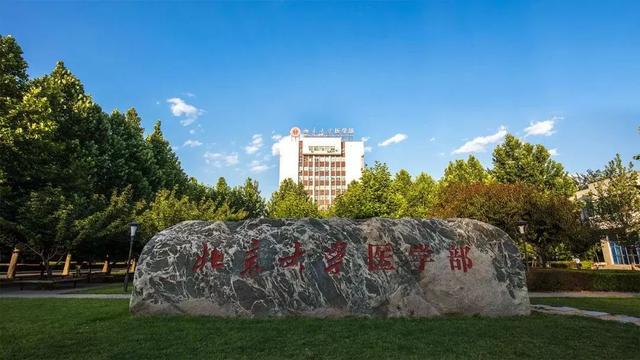 北京大学，来了！