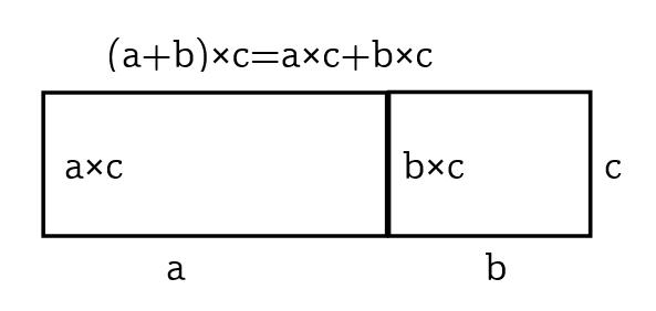 让模型思想在学生的思维中扎根 ——基于小学数学的思考